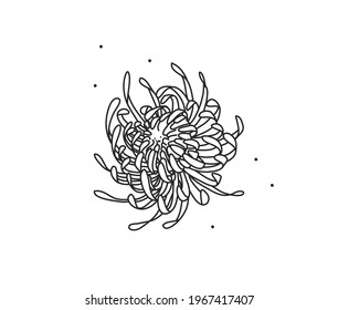 Hand drawn vector abstract stock flat graphic illustration with logo element of line silhouette flower art of chrysanthemum in simple style for branding,isolated on white background