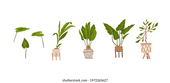 Hand drawn vector abstract stock graphic bohemian clipart collection set illustration with beauty interior design elements,modern scandinavian domestic plants and flowers isolated on white background
