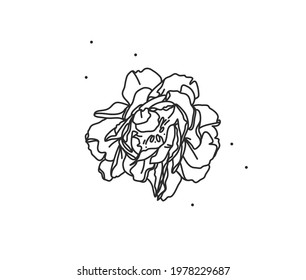 Hand drawn vector abstract stock flat graphic illustration with logo element of line flower art of peony in simple style for branding,isolated on white background.Sacred magic boho feminine concept