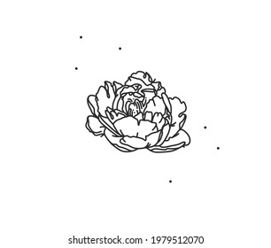 Hand drawn vector abstract stock flat graphic illustration with logo element of line flower art of peony in simple style for branding,isolated on white background.Sacred magic boho feminine concept