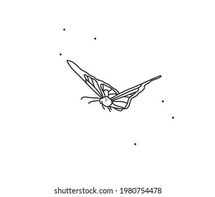 Hand drawn vector abstract stock flat graphic illustration with logo element,bohemian magic art of butterfly line art in simple style for branding,isolated on white background.Feminine logo concept.