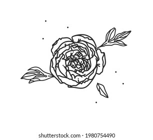 Hand drawn vector abstract stock flat graphic illustration with logo element of line flower art of peony in simple style for branding,isolated on white background.Sacred magic boho feminine concept