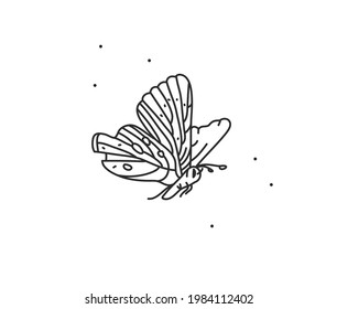 Hand drawn vector abstract stock flat graphic illustration with logo element,bohemian magic art of butterfly line art in simple style for branding,isolated on white background.Feminine logo concept
