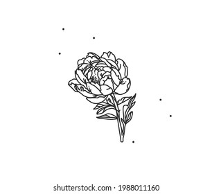 Hand drawn vector abstract stock flat graphic illustration with logo element of line flower art of peony in simple style for branding,isolated on white background.Sacred magic boho feminine concept