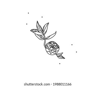 Grado abstracto de vectores dibujado a mano material gráfico plano con el logotipo elemento flor de línea arte de peonía en estilo simple para marca, aislado en fondo blanco.Concepto sagrado mágico boho femenino