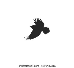 Hand drawn vector abstract stock flat graphic illustration with logo element,mystic tribal magic line silhouette art of flying crow in simple style for branding,isolated on white background