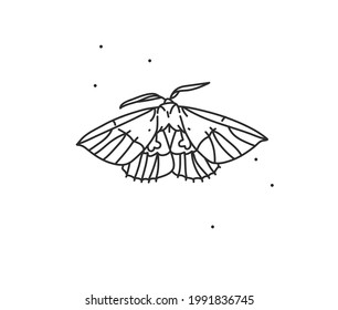 Hand drawn vector abstract stock flat graphic illustration with logo element,bohemian magic art of butterfly line art in simple style for branding,isolated on white background.Feminine logo concept