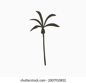 Hand drawn vector abstract stock graphic summer time cartoon,minimalistic illustrations print logo element,with beautiful tropical palm tree silhouette isolated on white background