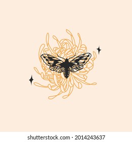 Hand drawn vector abstract stock flat graphic illustration with logo element,bohemian astrology magic minimalistic emblem of mystic moth butterfly and chrysanthemum flower,simple style for branding.