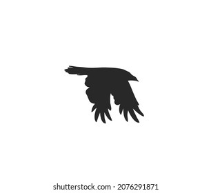 Hand drawn vector abstract stock flat graphic illustration with logo element,mystic tribal magic line silhouette art of flying crow in simple style for branding,isolated on white background.