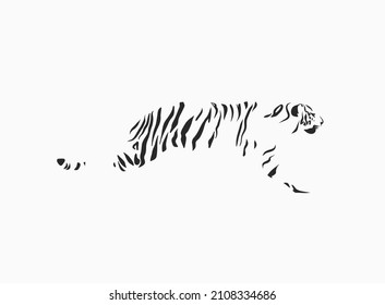 Hand drawn vector abstract stock graphic cartoon illustration with beauty cute trendy wildlife white,drawing tiger,black and white texture isolated on white background. Chinese New Year concept art.