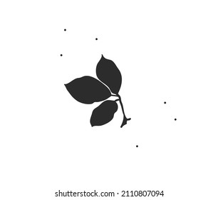 Hand drawn vector abstract stock flat graphic illustration with minimal logo element,bohemian line art of leaves branch silhouette for branding,isolated on white background.Organic logo concept.