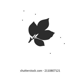 Hand drawn vector abstract stock flat graphic illustration with minimal logo element,bohemian line art of leaves branch silhouette for branding,isolated on white background.Organic logo concept.
