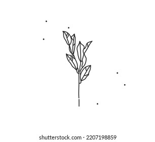 Hand drawn vector abstract stock flat graphic illustration with logo element,bohemian magic flower branch line art in simple style for branding,isolated on white background.Feminine logo concept.