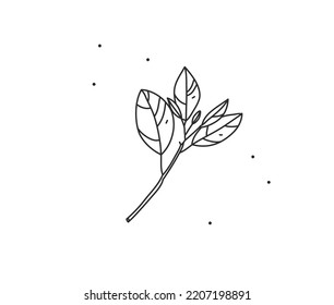Hand drawn vector abstract stock flat graphic illustration with logo element,bohemian magic flower branch line art in simple style for branding,isolated on white background.Feminine logo concept.