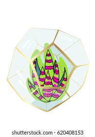 Hand drawn vector abstract succulent plant with terrarium 