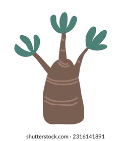 Hand drawn vector adenium or bottle tree icon. Doodle Scandinavian style illustration isolated on white background. Cute element for design