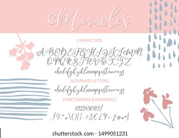 Hand drawn vector alphabet with alternates. ABC with letters, numbers, symbols. For calligraphy, lettering, hand made quotes.