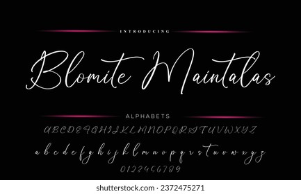 Hand drawn vector alphabet. Modern monocline signature script font. Elegant Signature Font. Best Alphabet Beautiful Calligraphy Signature Font lettering handwritten