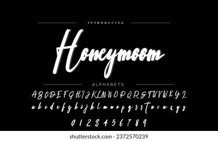 Hand drawn vector alphabet. Modern monocline signature script font. Estrella Salon Signature Font