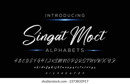 Hand drawn vector alphabet. Modern monocline signature script font. Elegant Signature Font. Best Alphabet Beautiful Calligraphy Signature Font lettering handwritten