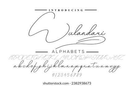 Hand drawn vector alphabet. Modern monoline signature script font. Elegant Signature Font. Best Alphabet Beautiful Calligraphy Signature Font lettering handwritten