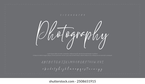 Hand drawn vector alphabet. Modern monoline signature script font. Elegant Signature Font. Best Alphabet Beautiful Calligraphy Signature Font lettering