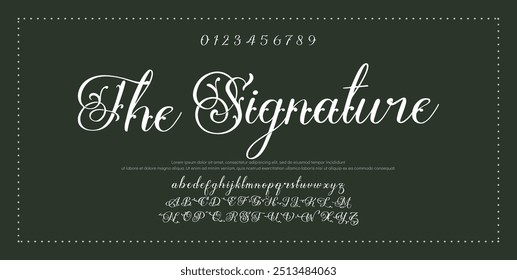 Hand drawn vector alphabet. Modern monoline signature script font. Elegant Signature Font. Best Alphabet Beautiful Calligraphy Signature Font