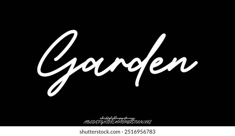 Hand drawn vector alphabet. Modern monoline signature script font. Elegant Signature Font. Best Alphabet Beautiful Calligraphy Signature Font lettering