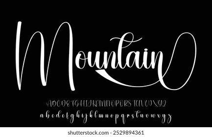 Hand drawn vector alphabet. Modern monoline signature script font. Elegant Signature Font. Best Alphabet Beautiful Calligraphy Signature Font