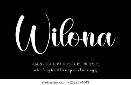 Hand drawn vector alphabet. Modern monoline signature script font. Elegant Signature Font. Best Alphabet Beautiful Calligraphy Signature Font lettering