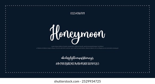 Hand drawn vector alphabet. Modern monoline signature script font. Elegant Signature Font. Best Alphabet Beautiful Calligraphy Signature Font