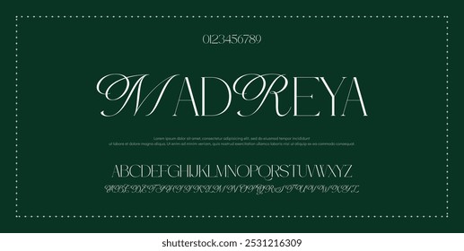 Alfabeto de Vector dibujado a mano. Fuente de script de firma monoline moderna. Elegante fuente de firma. Mejor alfabeto Hermosa caligrafía Signature letras de fuente