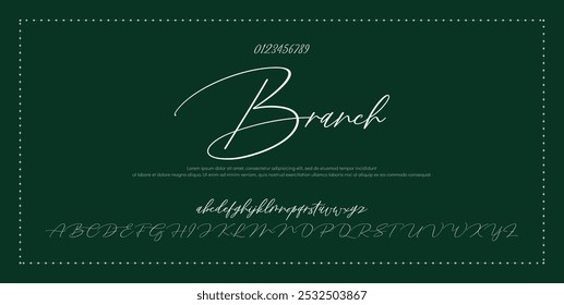 Hand drawn vector alphabet. Modern monoline signature script font. Elegant Signature Font. Best Alphabet Beautiful Calligraphy Signature Font lettering