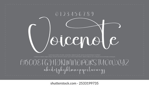 Hand drawn vector alphabet. Modern monoline signature script font. Elegant Signature Font. Best Alphabet Beautiful Calligraphy Signature Font lettering