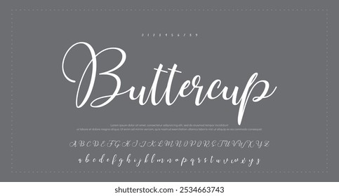 Hand drawn vector alphabet. Modern monoline signature script font. Elegant Signature Font. Best Alphabet Beautiful Calligraphy Signature Font lettering
