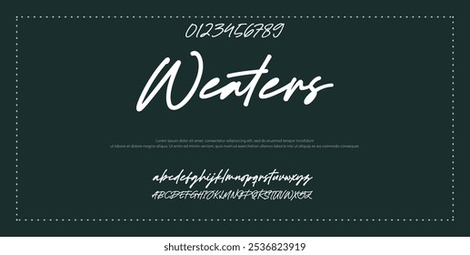 Hand drawn vector alphabet. Modern monoline signature script font. Elegant Signature Font. Best Alphabet Beautiful Calligraphy Signature Font lettering