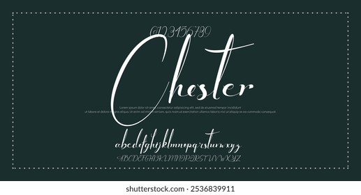 Hand drawn vector alphabet. Modern monoline signature script font. Elegant Signature Font. Best Alphabet Beautiful Calligraphy Signature Font lettering