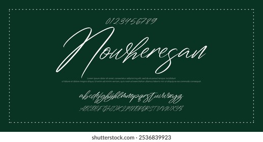 Hand drawn vector alphabet. Modern monoline signature script font. Elegant Signature Font. Best Alphabet Beautiful Calligraphy Signature Font lettering