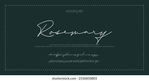 Hand drawn vector alphabet. Modern monoline signature script font. Elegant Signature Font. Best Alphabet Beautiful Calligraphy Signature Font lettering