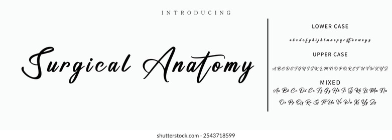 Hand drawn vector alphabet. Modern monoline signature script font. Elegant Signature Font. Best Alphabet Beautiful Calligraphy Signature Font