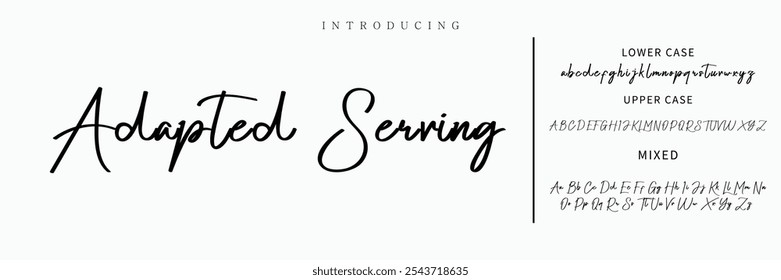 Hand drawn vector alphabet. Modern monoline signature script font. Elegant Signature Font. Best Alphabet Beautiful Calligraphy Signature Font