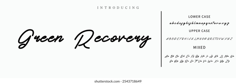 Hand drawn vector alphabet. Modern monoline signature script font. Elegant Signature Font. Best Alphabet Beautiful Calligraphy Signature Font