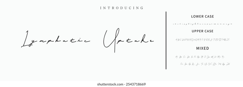 Handgezeichnetes Vektoralphabet. Moderne Schriftart für Monoline-Signaturen. Elegante Signatur. Bestes Alphabet Schöne Kalligrafie Signatur Schriftart