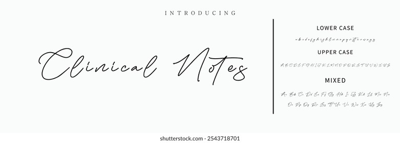 Alfabeto vetorial desenhado à mão. Fonte moderna de script de assinatura monocromática. Fonte de assinatura elegante. Melhor Alfabeto Bela Caligrafia Assinatura Fonte
