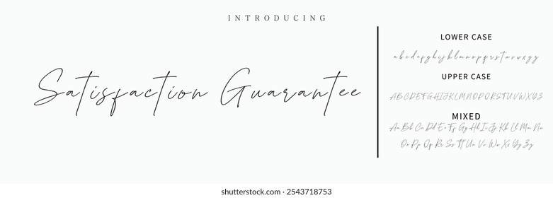 Hand drawn vector alphabet. Modern monoline signature script font. Elegant Signature Font. Best Alphabet Beautiful Calligraphy Signature Font