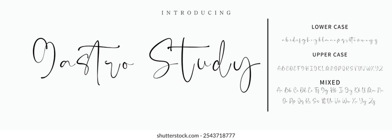 Hand drawn vector alphabet. Modern monoline signature script font. Elegant Signature Font. Best Alphabet Beautiful Calligraphy Signature Font