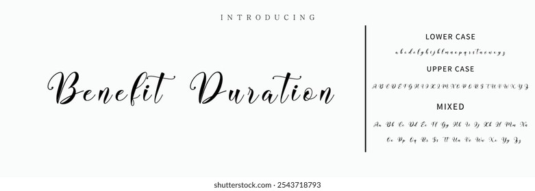 Hand drawn vector alphabet. Modern monoline signature script font. Elegant Signature Font. Best Alphabet Beautiful Calligraphy Signature Font