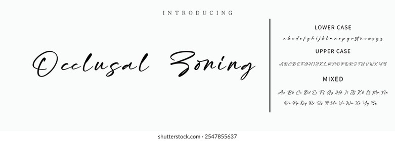 Hand drawn vector alphabet. Modern monoline signature script font. Elegant Signature Font. Best Alphabet Beautiful Calligraphy Signature Font lettering