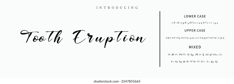 Hand drawn vector alphabet. Modern monoline signature script font. Elegant Signature Font. Best Alphabet Beautiful Calligraphy Signature Font lettering